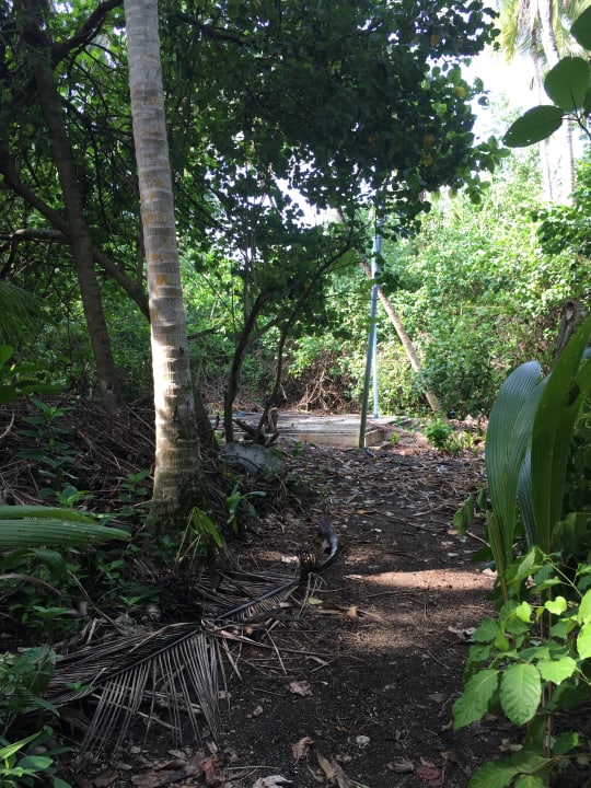 Garten Filitheyo Island Resort