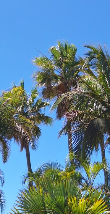 Sonstiges Hotel Riu Palace Maspalomas Adults Only