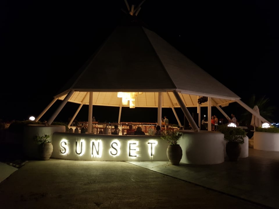 Gastro Balmy Foresta