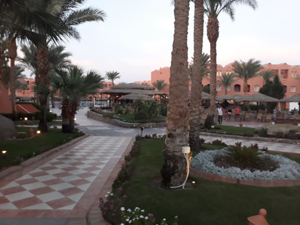Gartenanlage Jaz Makadi Oasis Resort