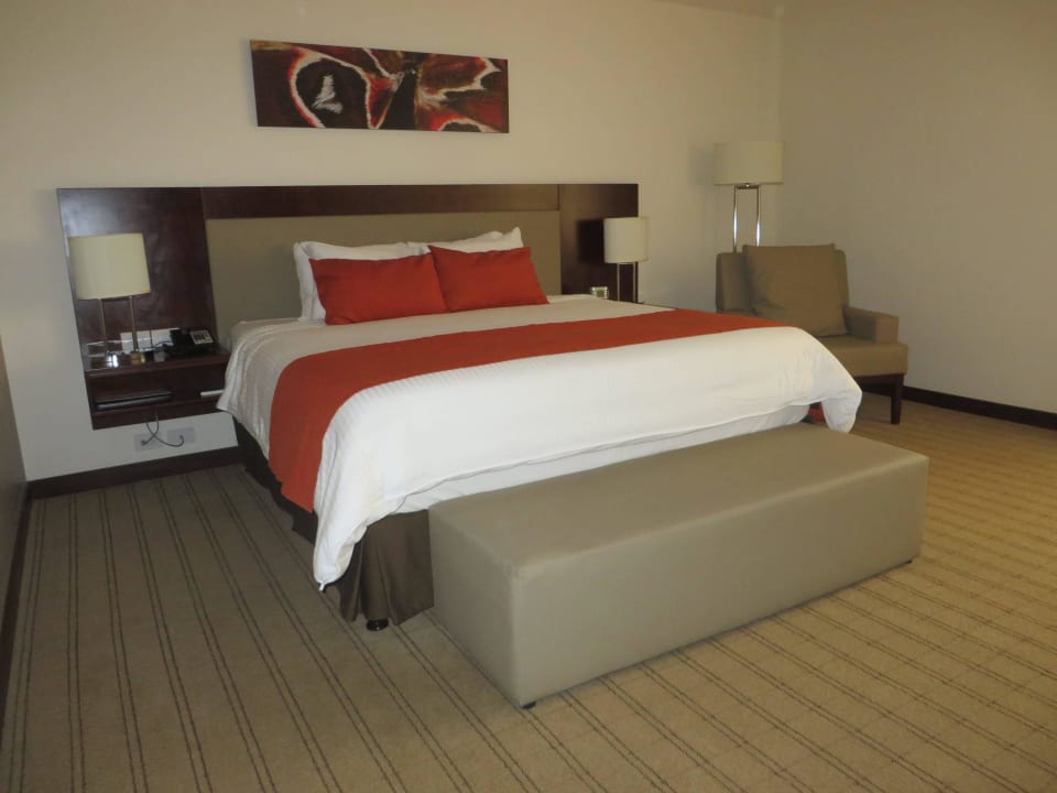 Modernes Zimmer Wyndham Garden Hotel San Jose Escazu