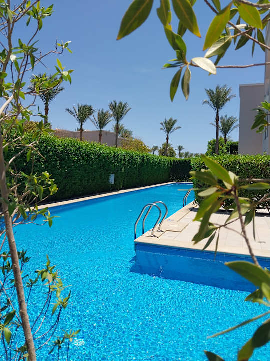 Pool Steigenberger Alcazar