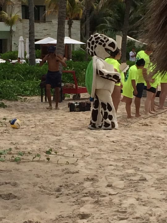 Strand Secrets Akumal Riviera Maya - Adults only