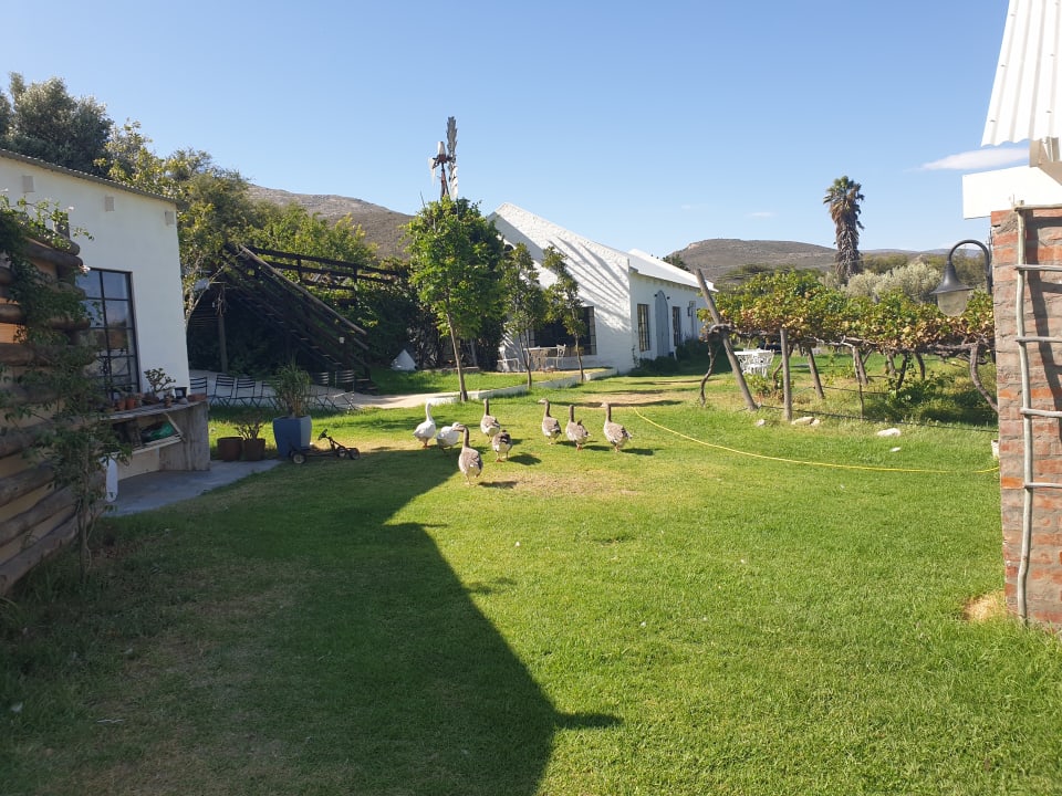 Gartenanlage Guesthouse Kogman & Keisie