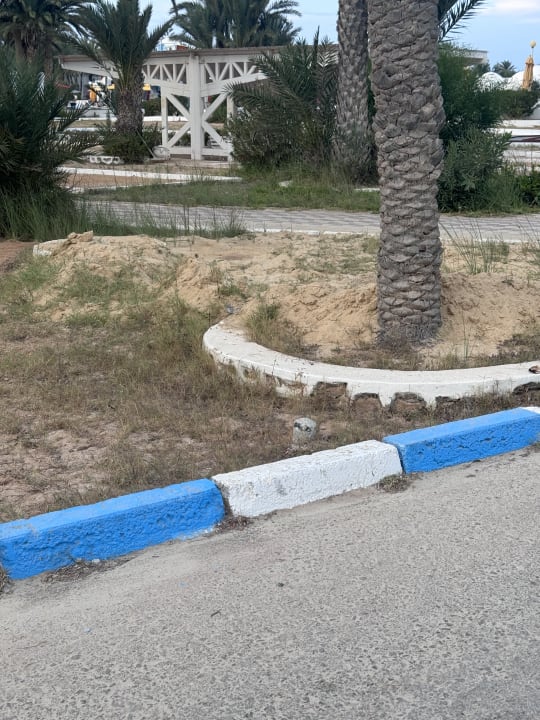 Gartenanlage Hotel El Mouradi Djerba Menzel