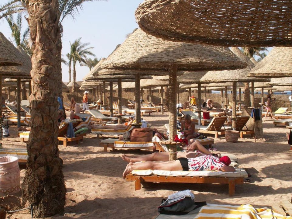 Plaża Sharm Grand Plaza Resort