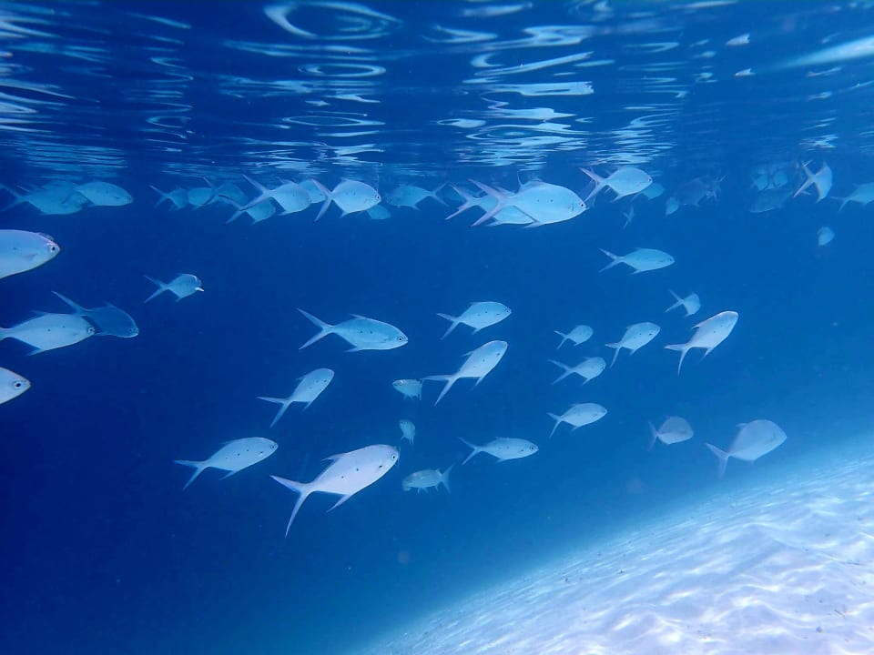 Strand Adaaran Club Rannalhi - All Inclusive