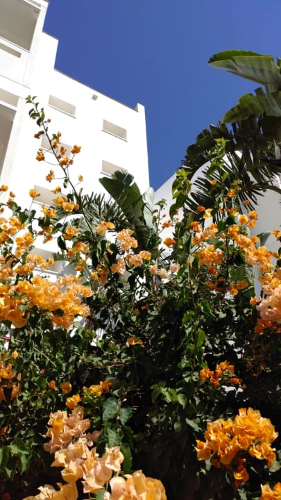 Gartenanlage Garbi Costa Luz