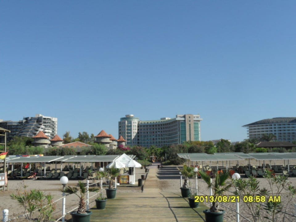 Strand Sherwood Exclusive Lara
