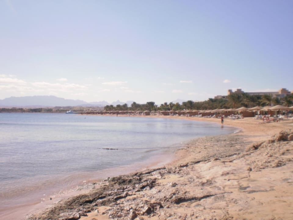 Makadi Bay Makadi Spa - Adults only