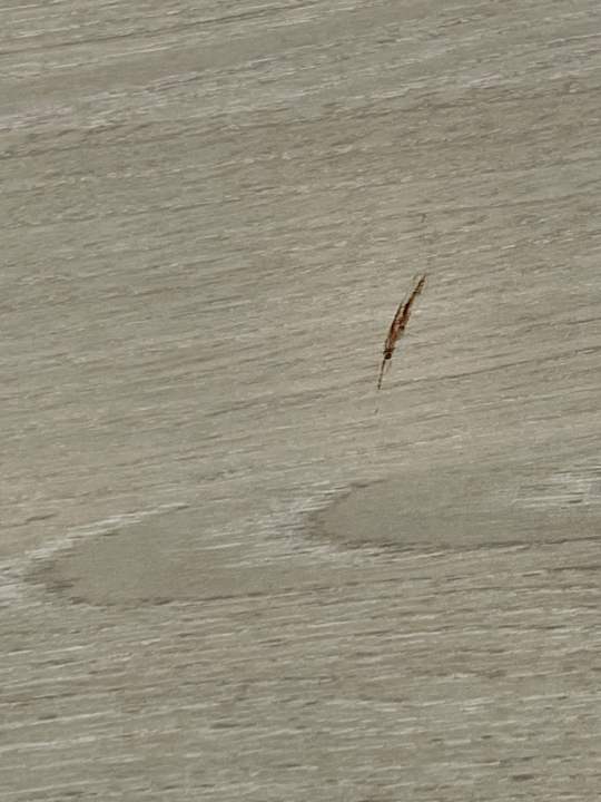 Zimmer Grupotel Acapulco Playa - Adults Only