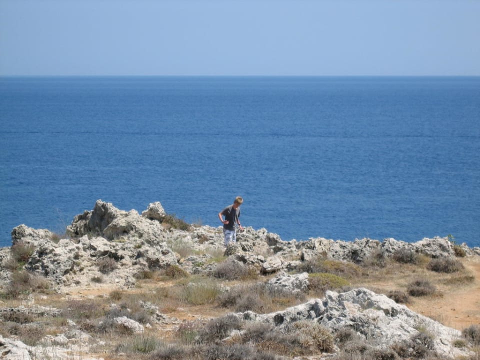 Ein Paradies für Schlangen und Echsen Hotel Kalithea Horizon Royal