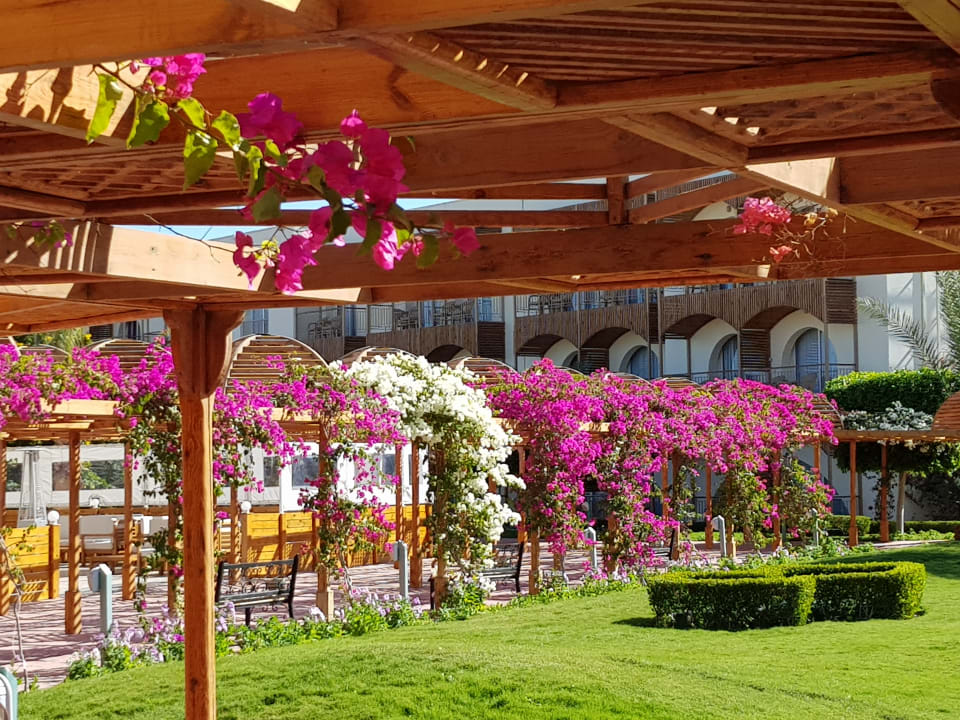 Außenansicht Desert Rose