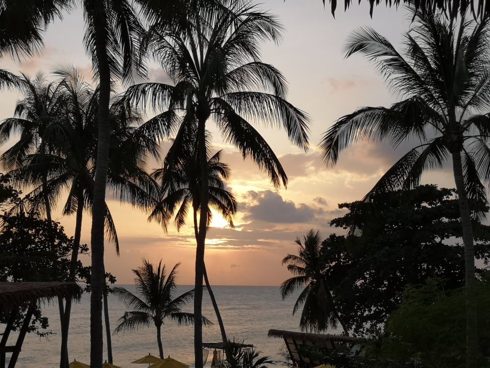 Ausblick Princess Paradise Koh Phangan