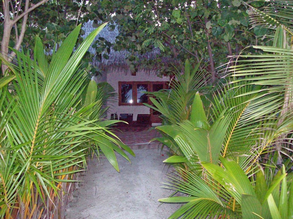 Blick vom Strand auf Bungalow Cinnamon Dhonveli Maldives