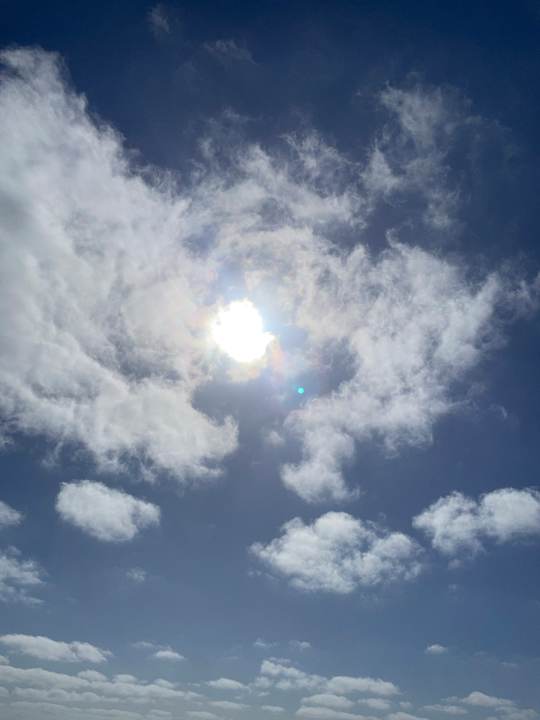 Sonstiges Hotel Riu Palace Santa Maria