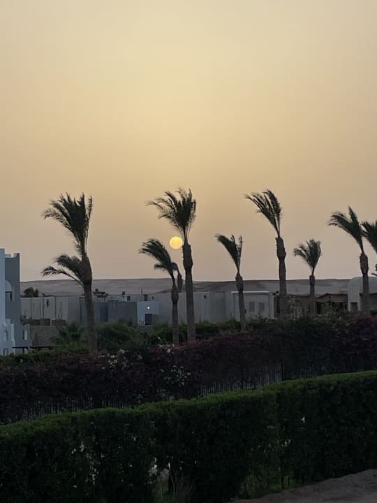 Ausblick Fort Arabesque - The West Bay