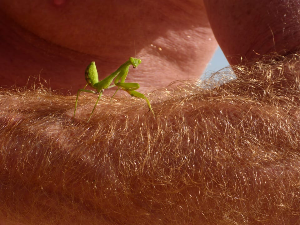 Strand Novotel Marsa Alam Beach Resort