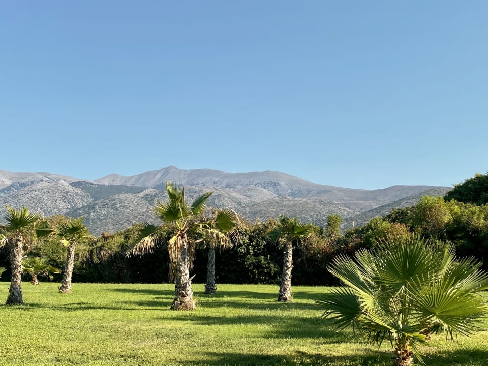 Gartenanlage Calimera Sirens Beach