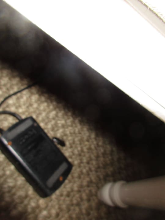 Ungeziefer (Riesenkakerlake) Hotel Villa Pioppi - Garni