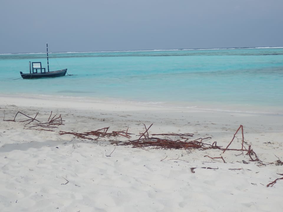 Blick aufs Meer Meeru Maldives Resort Island