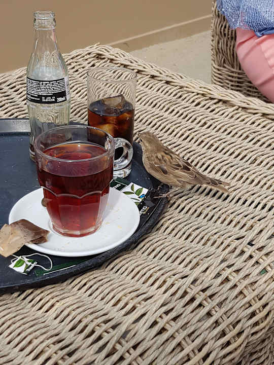 Sonstiges At Sea Apartments