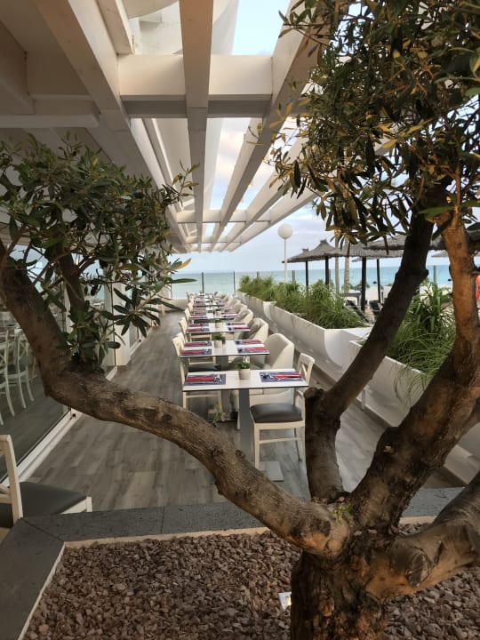 Gastro allsun App.-Hotel Barlovento