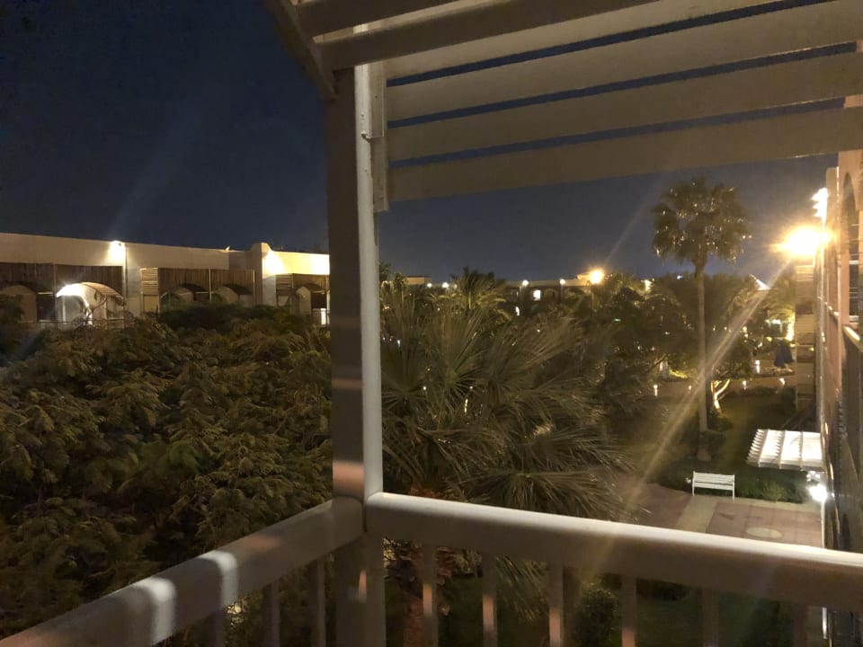 Ausblick Desert Rose