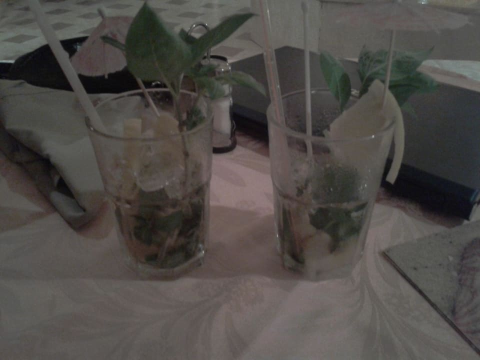 Lecker Ghazala Gardens