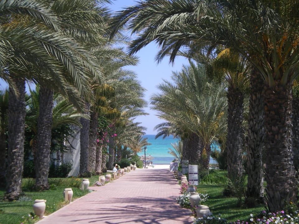 Gartenanlage Club Palm Azur
