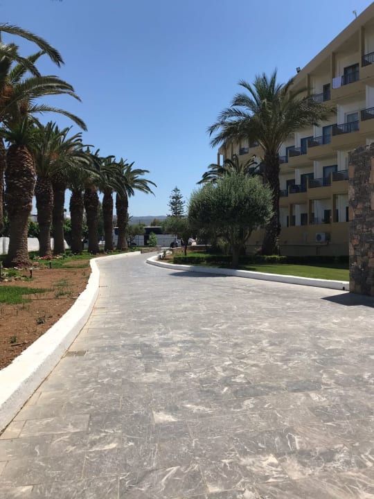 Gepflegte Gartenanlage wird immer sauber gehalten vom Person Hotel Aphrodite Beach Club