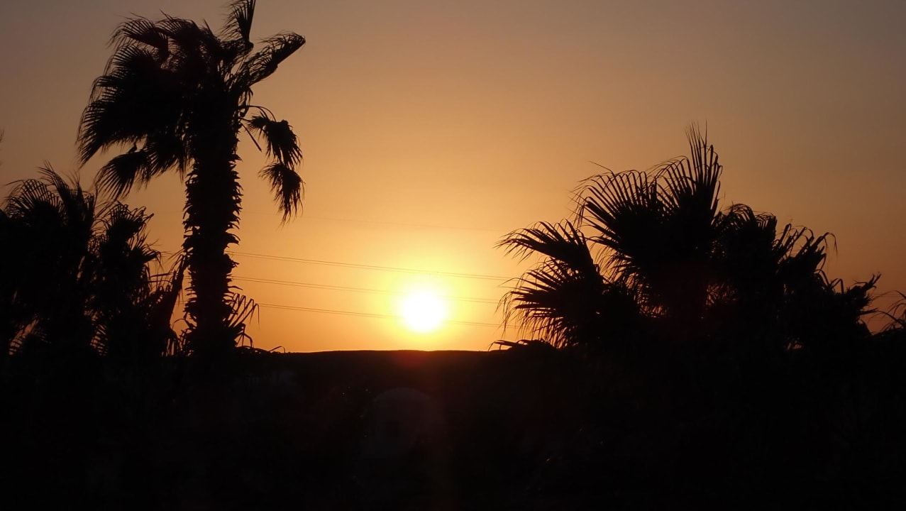 Gartenanlage Shams Alam Beach Resort