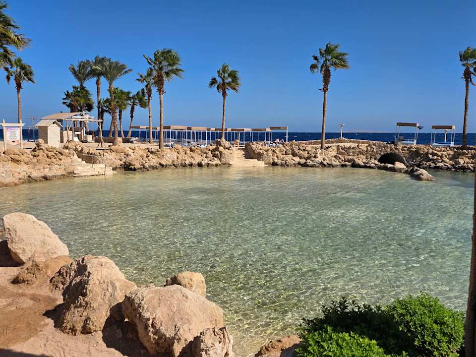 Strand Pickalbatros Citadel Resort