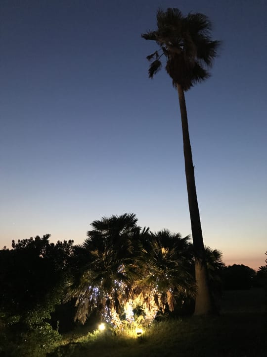 Gartenanlage Hotel Oasi Di Kufra