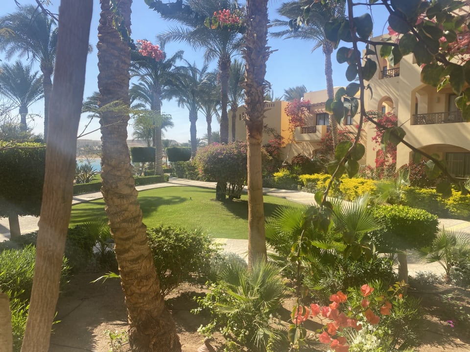 Außenansicht Steigenberger Coraya Beach - Adults only