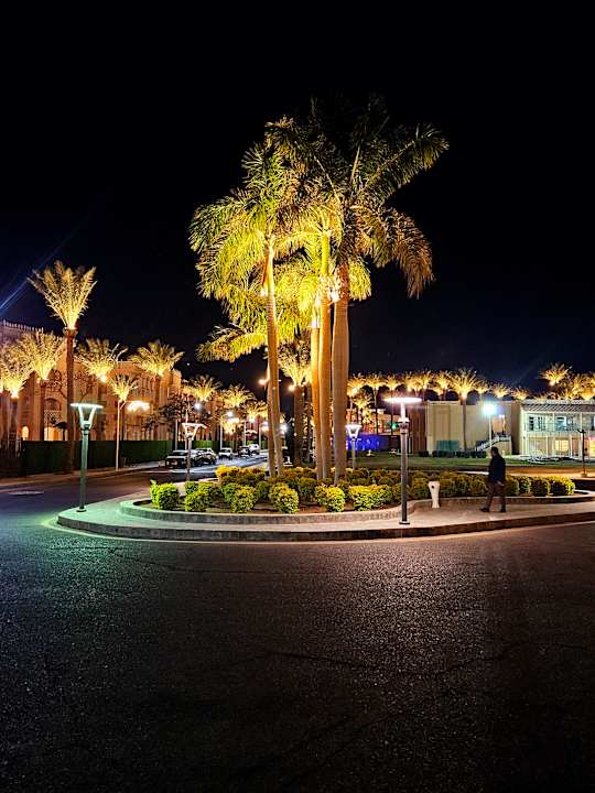 Außenansicht Beach Albatros Resort