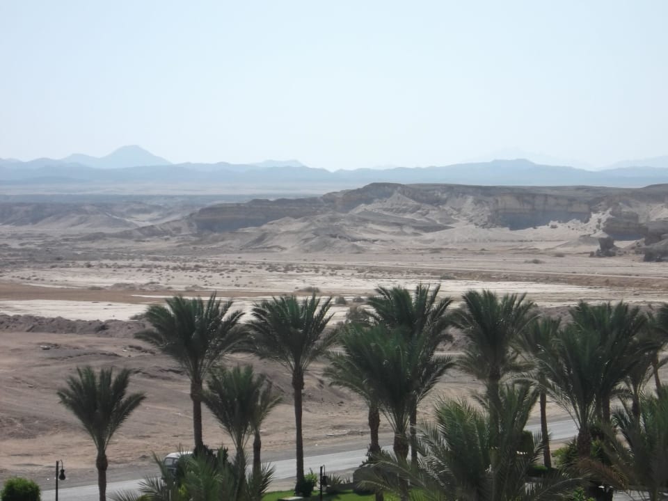 Nirvana Jaz Dar EL Madina