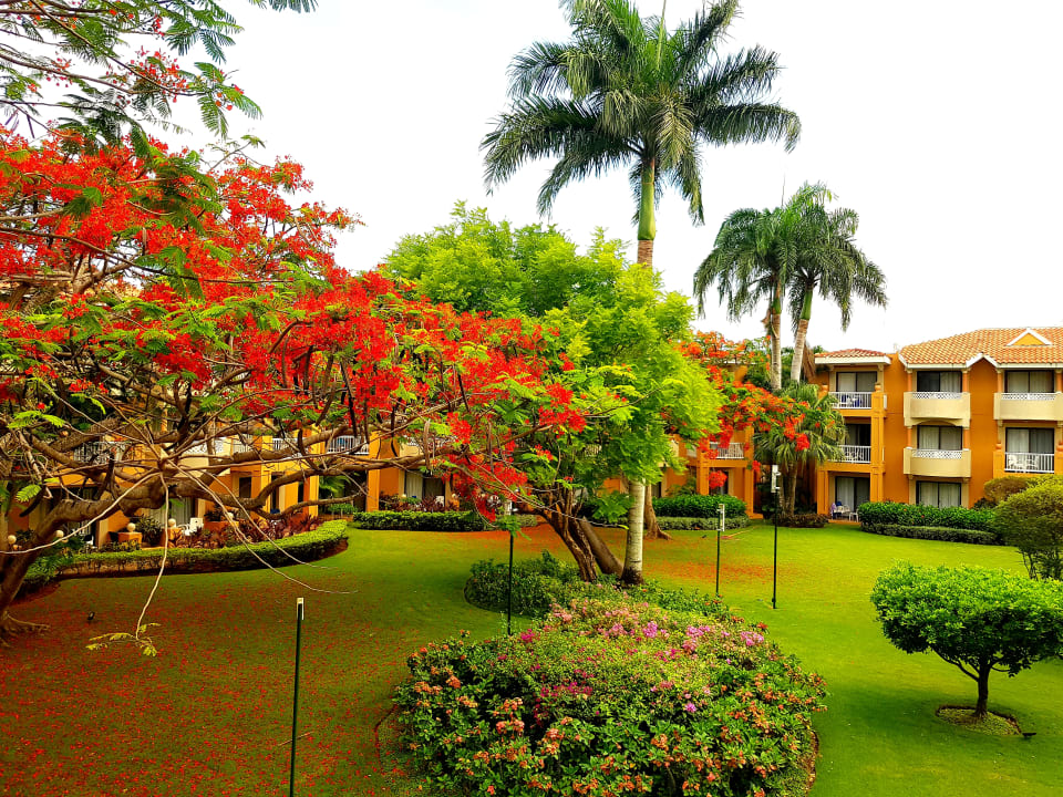 Außenansicht Hotel Viva Dominicus Palace by Wyndham-All Inclusive Resort