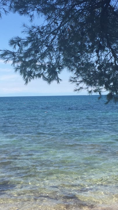 Strand Hotel Sipar Plava Laguna