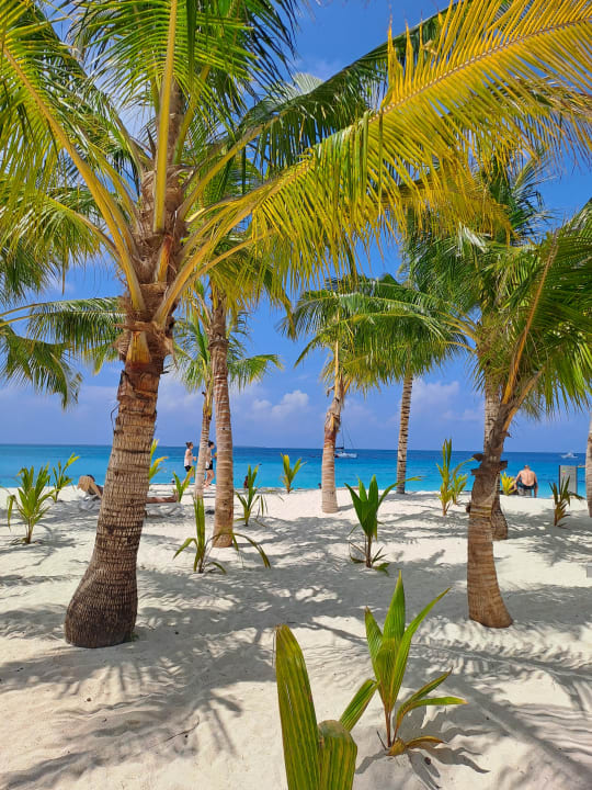 Strand Hotel Riu Jambo