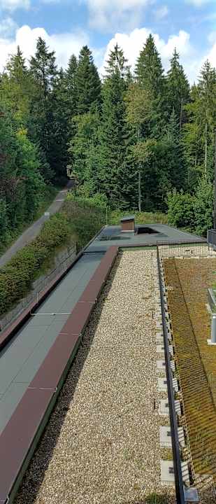 Ausblick Fritz Lauterbad