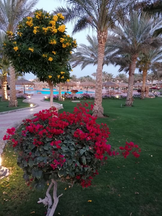 Pool Three Corners Sea Beach Resort