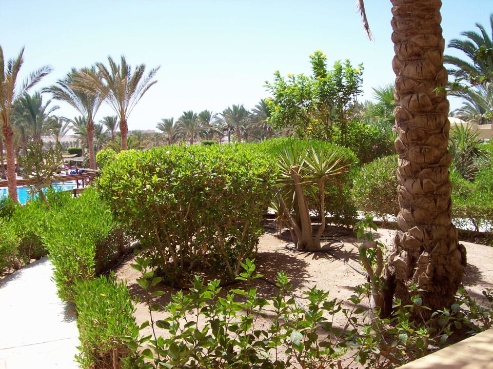 Blick von unserer Terrasse Jaz Solaya