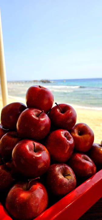 Gastro Mövenpick Resort El Quseir