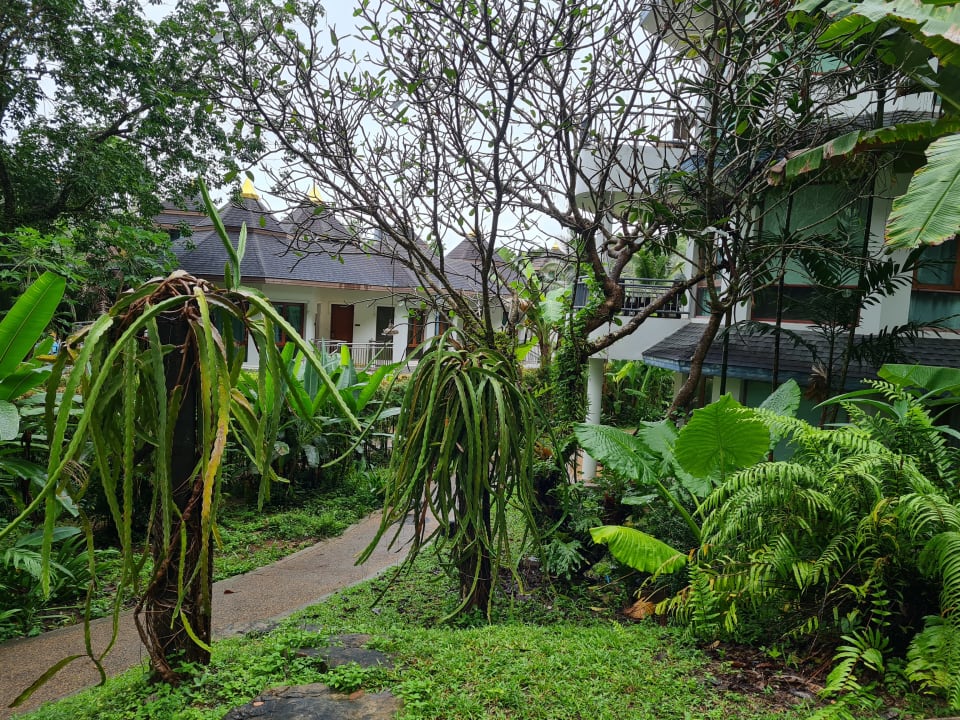 Gartenanlage Krabi Resort