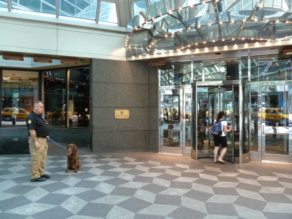 Eingang mit Spürhund Millennium Hilton New York One UN Plaza