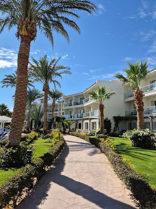 Gartenanlage Amarina Abu Soma Resort & Aquapark