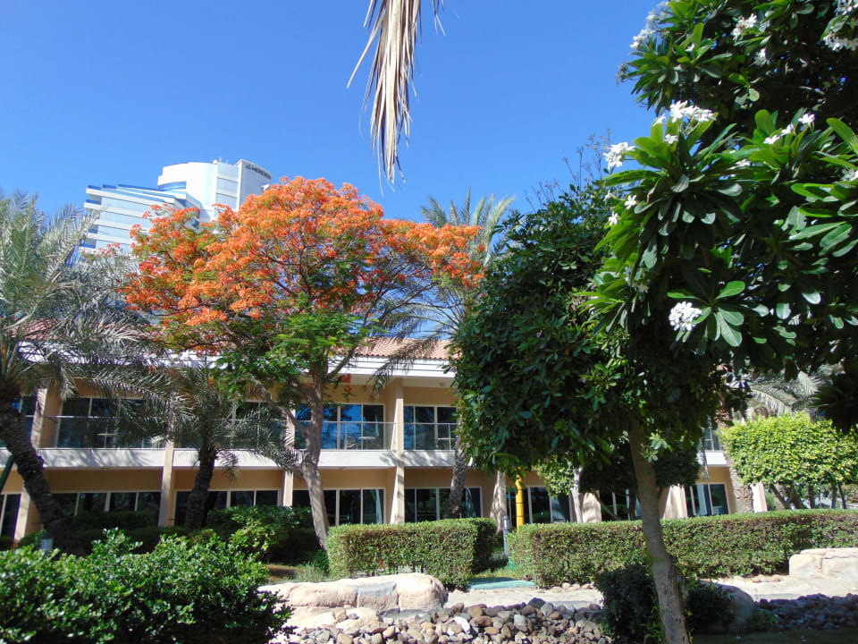 Außenansicht Fujairah Rotana Resort & Spa