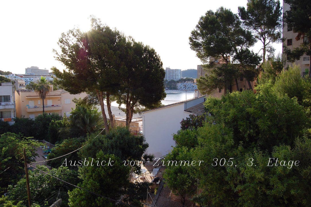 " Meerblick zwischen Bäumen" FLOR los Almendros Hotel