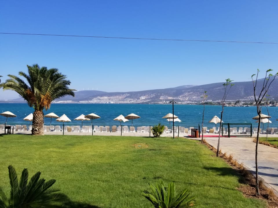 Sport & Freizeit Long Beach Club Nature